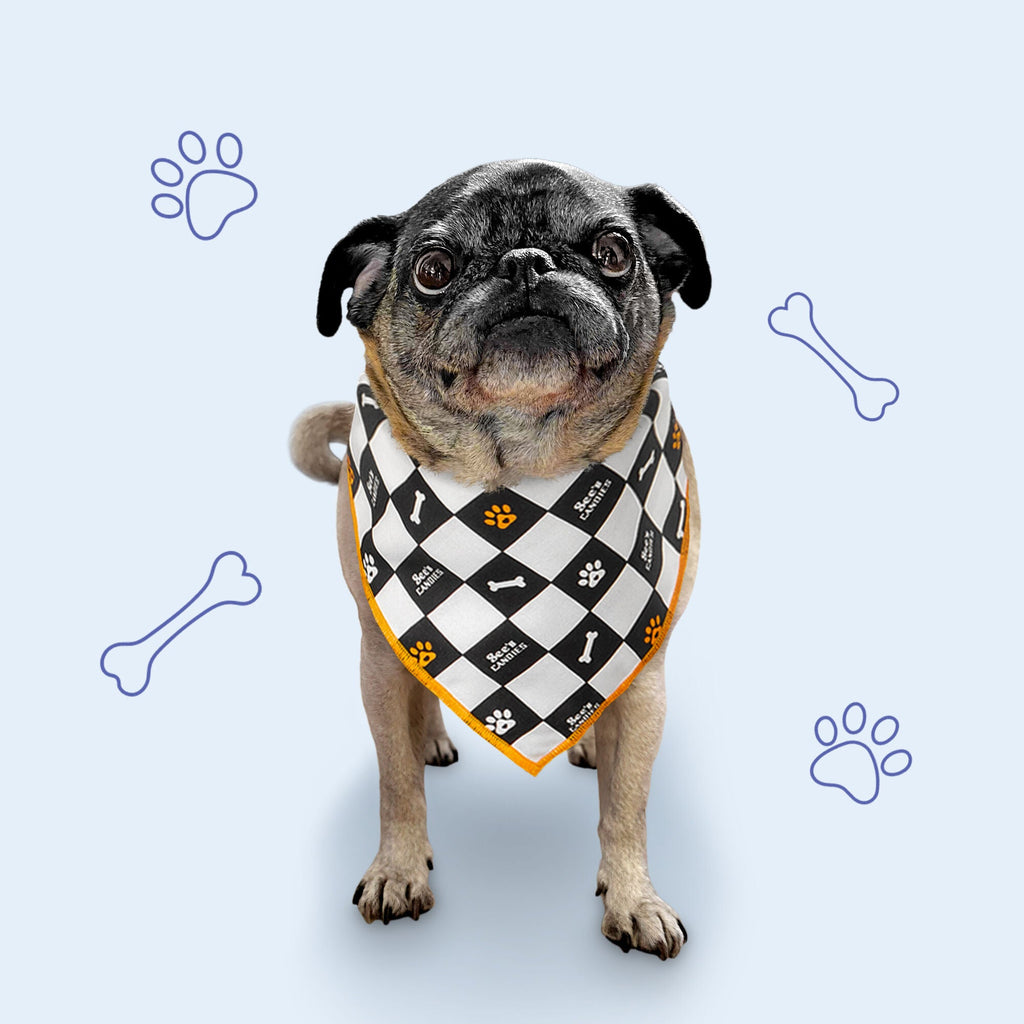 Dogust Bandana